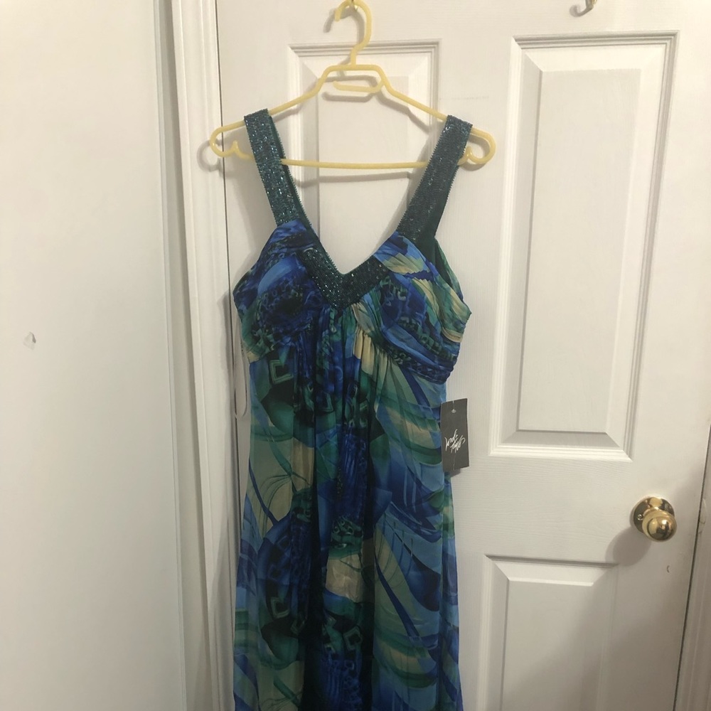 Amazing Oleg Cassini evening dress